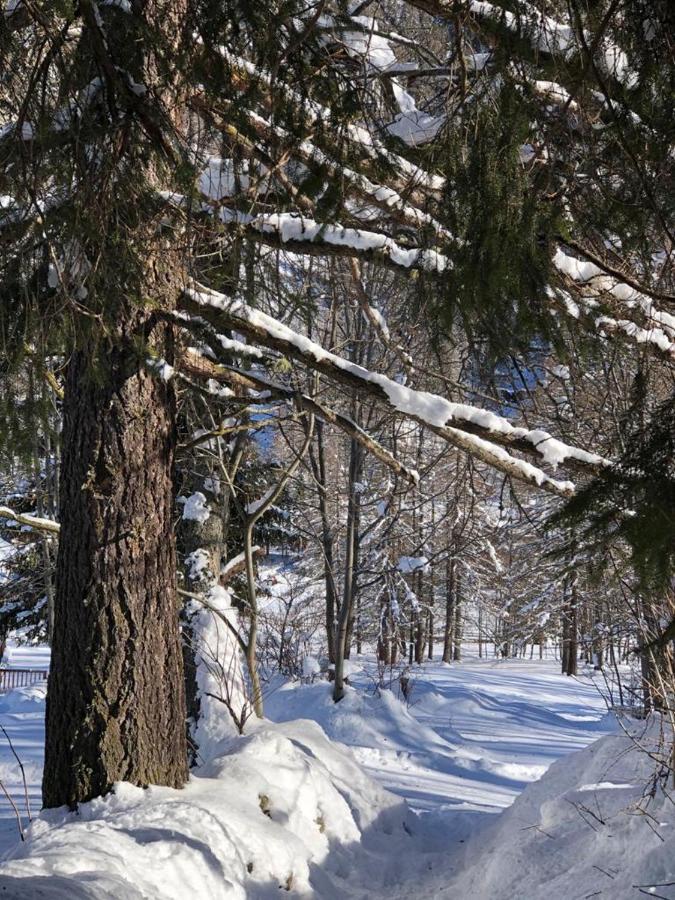 Albergo Alpenrose Ski&Bike Mountain Hotel Gressoney-Saint-Jean Εξωτερικό φωτογραφία