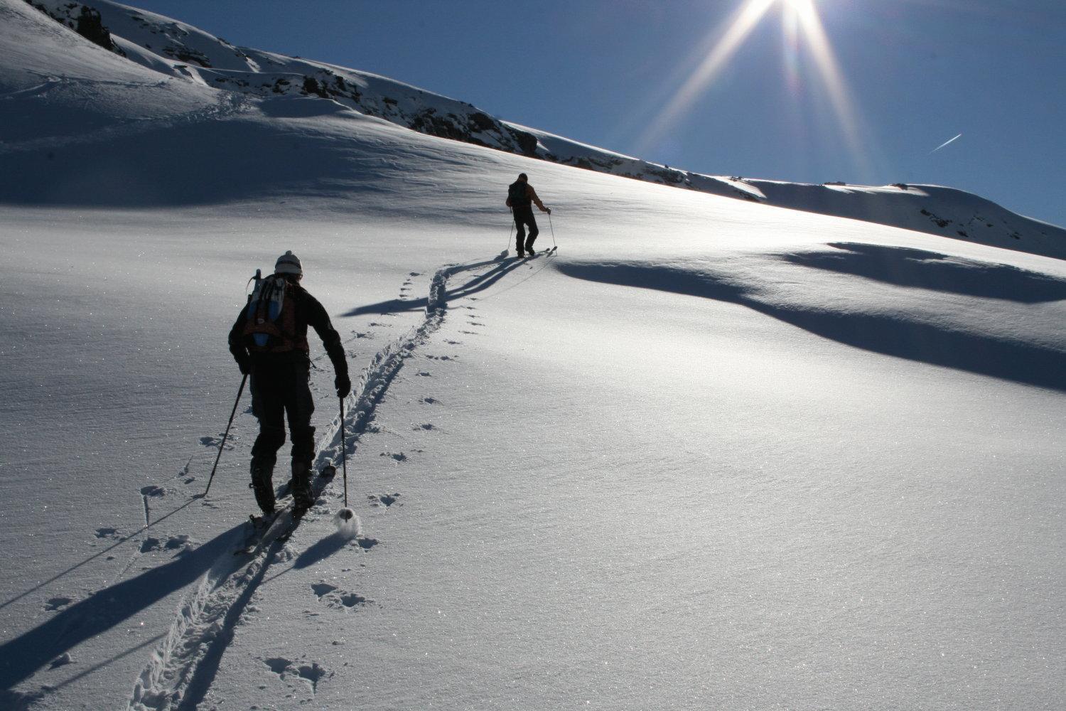 Albergo Alpenrose Ski&Bike Mountain Hotel Gressoney-Saint-Jean Εξωτερικό φωτογραφία