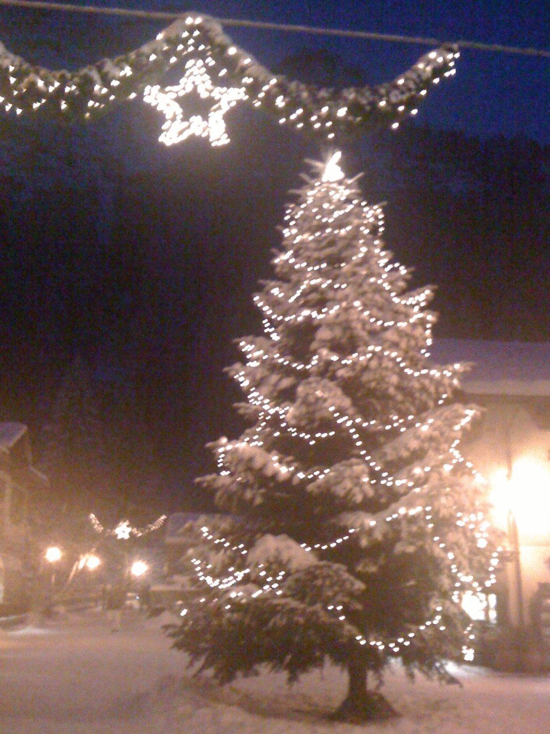 Albergo Alpenrose Ski&Bike Mountain Hotel Gressoney-Saint-Jean Εξωτερικό φωτογραφία