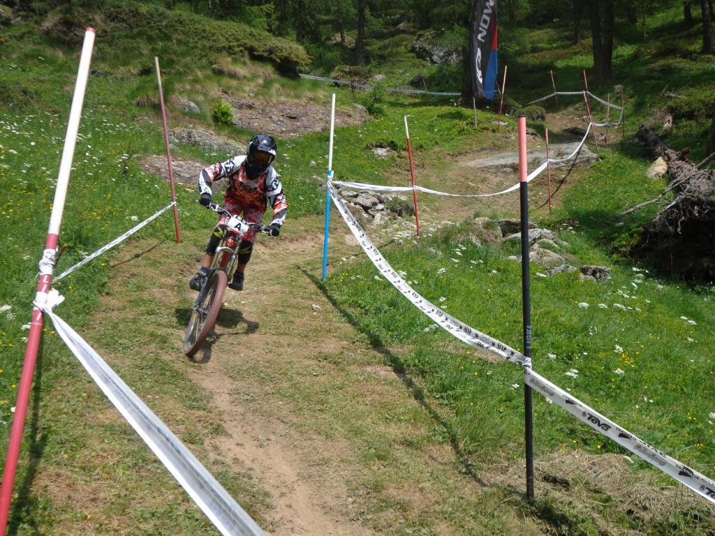Albergo Alpenrose Ski&Bike Mountain Hotel Gressoney-Saint-Jean Εξωτερικό φωτογραφία