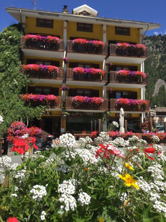 Albergo Alpenrose Ski&Bike Mountain Hotel Gressoney-Saint-Jean Εξωτερικό φωτογραφία