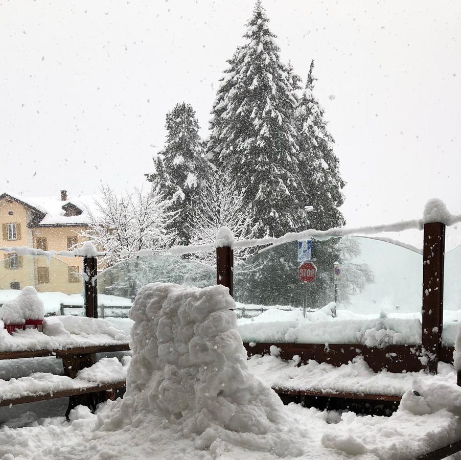 Albergo Alpenrose Ski&Bike Mountain Hotel Gressoney-Saint-Jean Εξωτερικό φωτογραφία