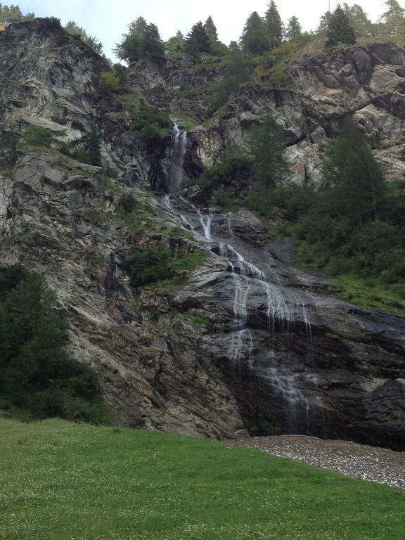 Albergo Alpenrose Ski&Bike Mountain Hotel Gressoney-Saint-Jean Εξωτερικό φωτογραφία