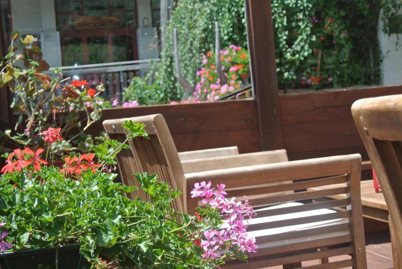 Albergo Alpenrose Ski&Bike Mountain Hotel Gressoney-Saint-Jean Εξωτερικό φωτογραφία