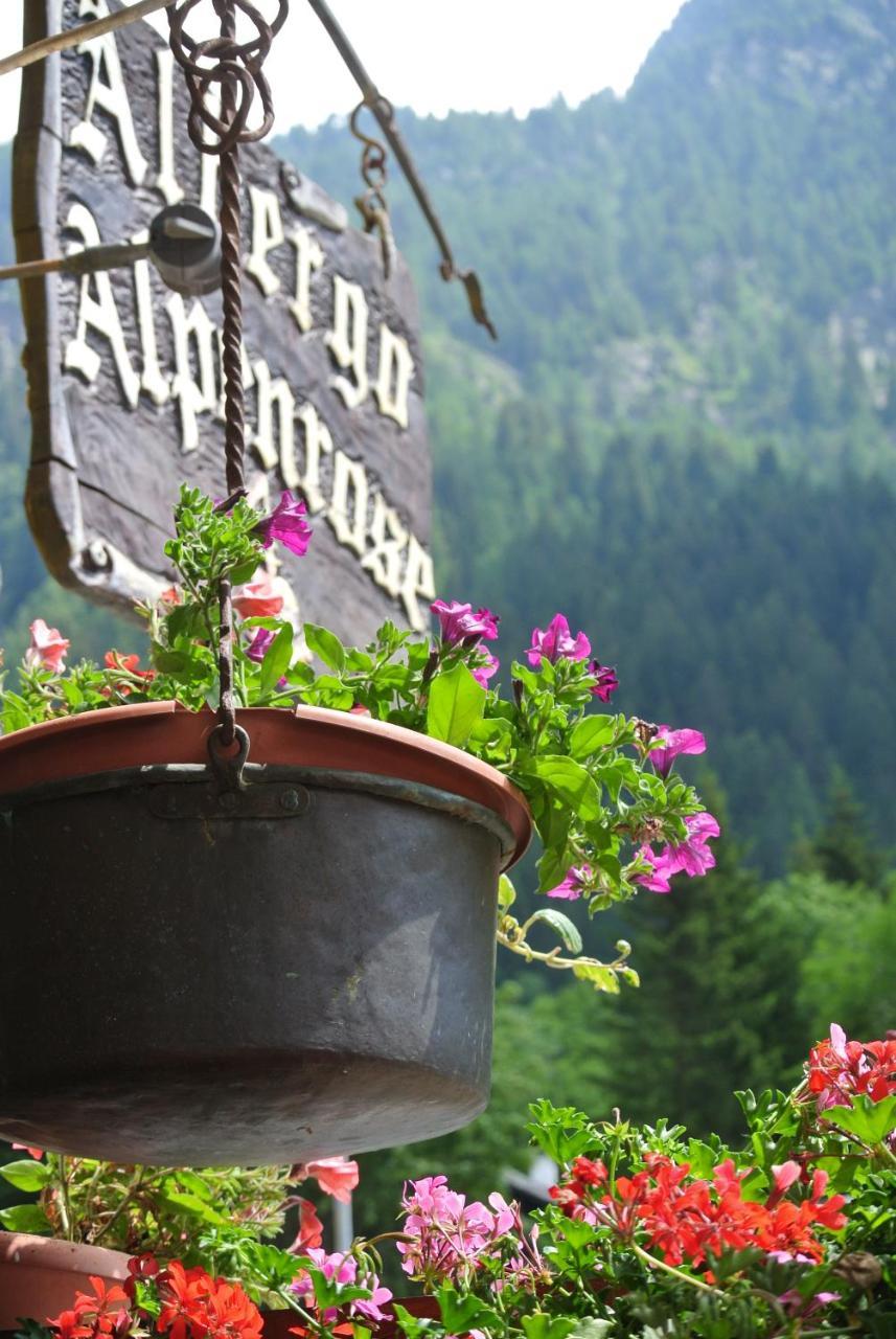 Albergo Alpenrose Ski&Bike Mountain Hotel Gressoney-Saint-Jean Εξωτερικό φωτογραφία