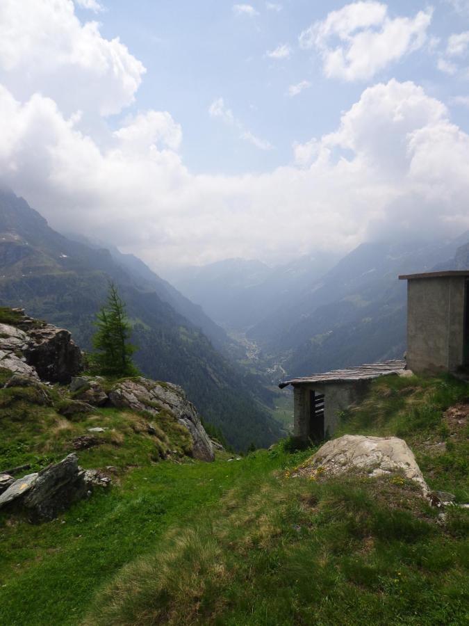 Albergo Alpenrose Ski&Bike Mountain Hotel Gressoney-Saint-Jean Εξωτερικό φωτογραφία